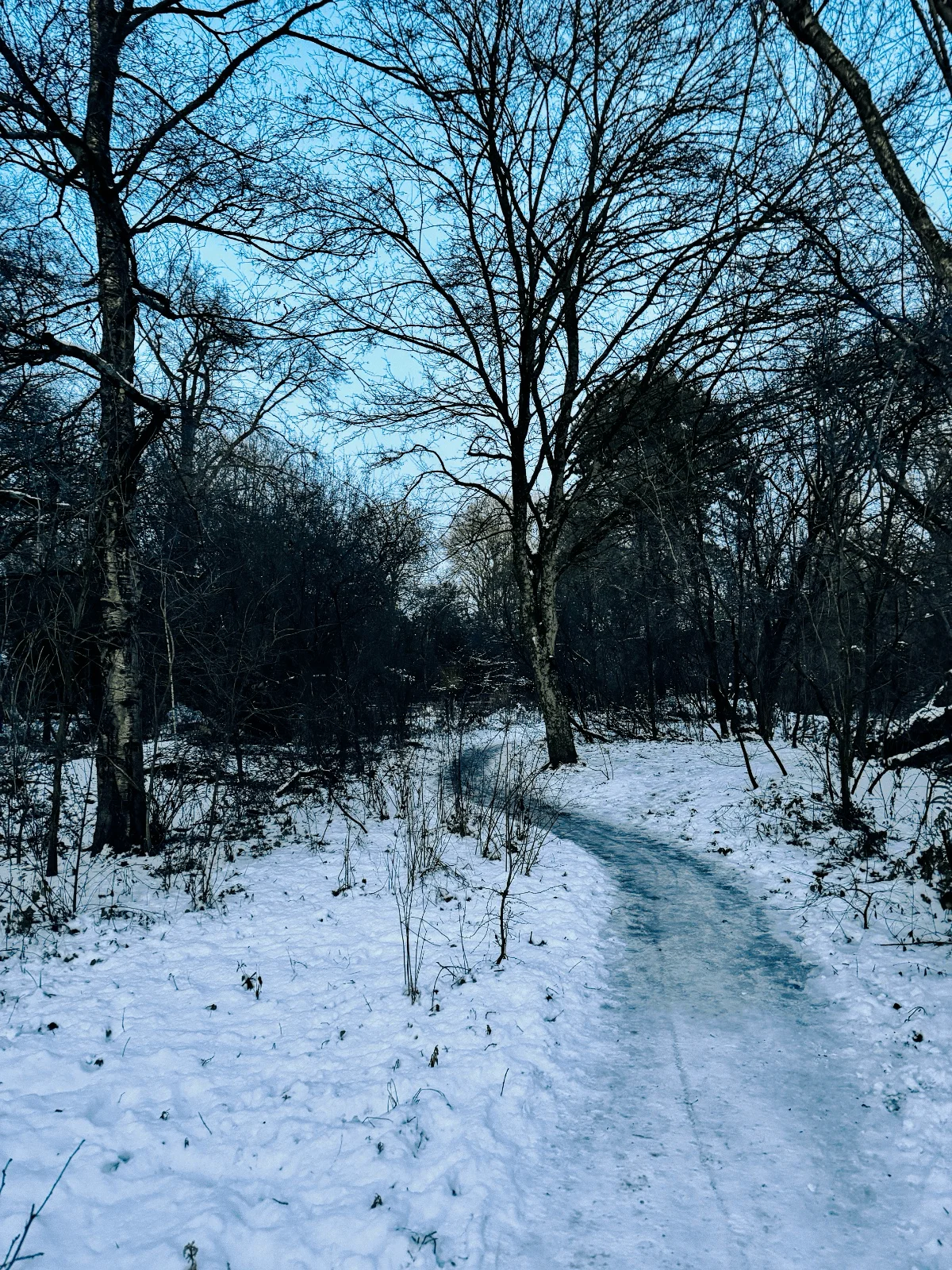 Amsterdam under the snow